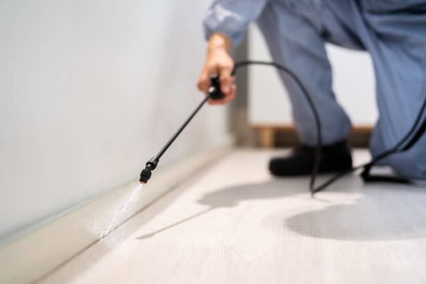 Licensed Pest Control service in Electra, TX - Show Me Pest Control
